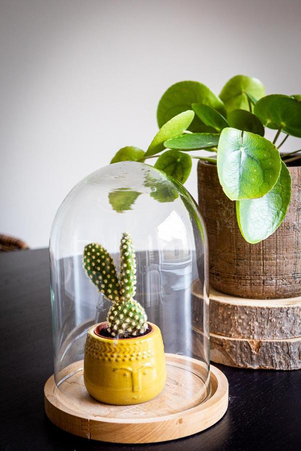 Studio Puuur Zandvoort Ngoại thất bức ảnh